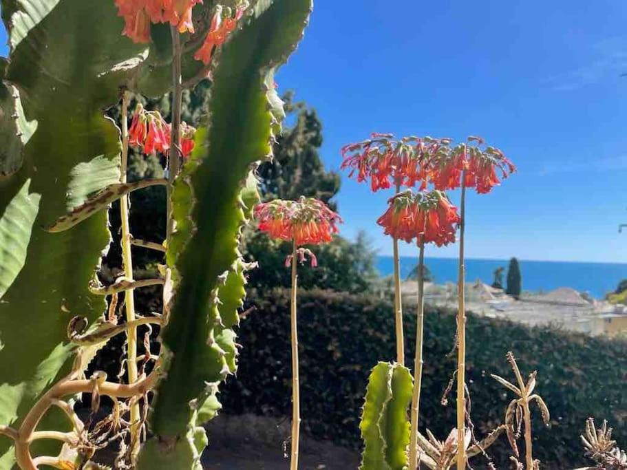 Nervi Residenziale A Due Passi Dal Mare Daire Cenova Dış mekan fotoğraf
